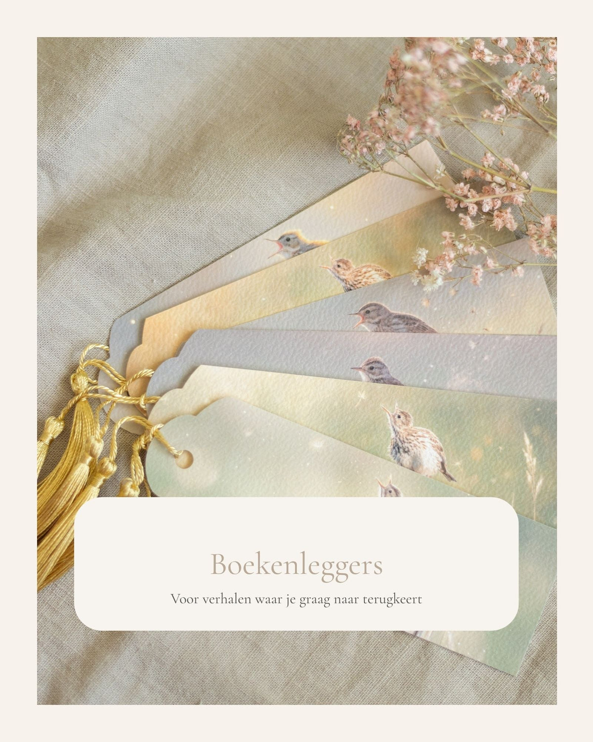 Boekenleggers