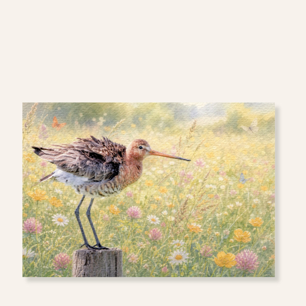 Ansichtkaart met een grutto tussen wilde bloemen en vlinders