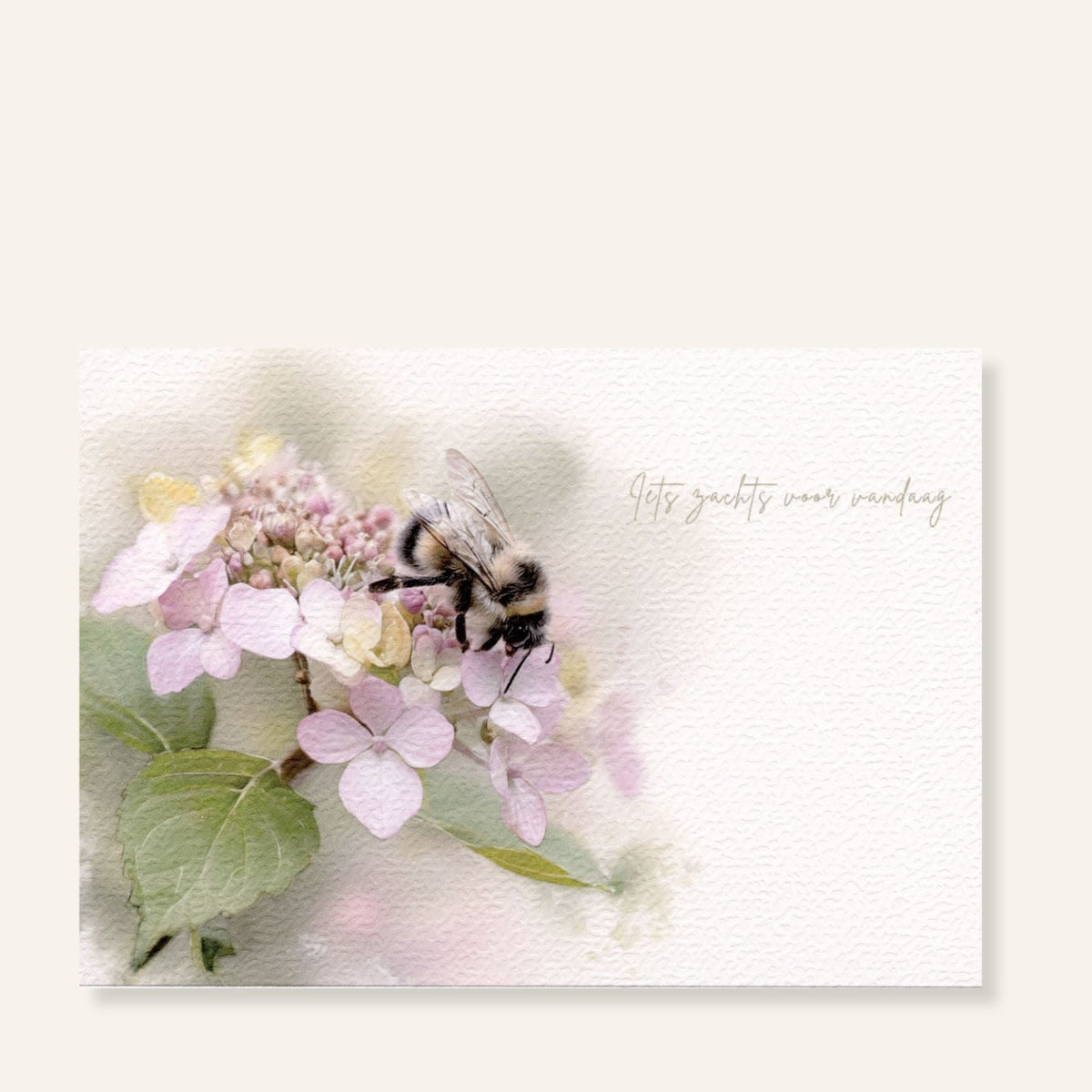 Ansichtkaart met hommel op roze hortensia en tekst Iets zachts voor vandaag