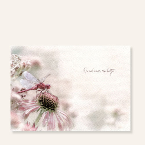 Ansichtkaart met libelle op roze zonnehoed en tekst Dwaal maar een beetje