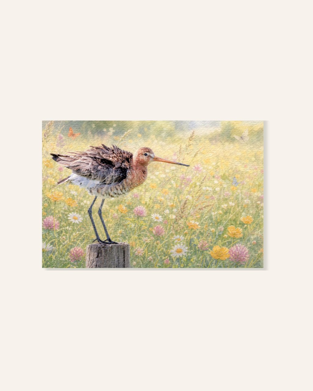 Ansichtkaart met een grutto tussen wilde bloemen en vlinders