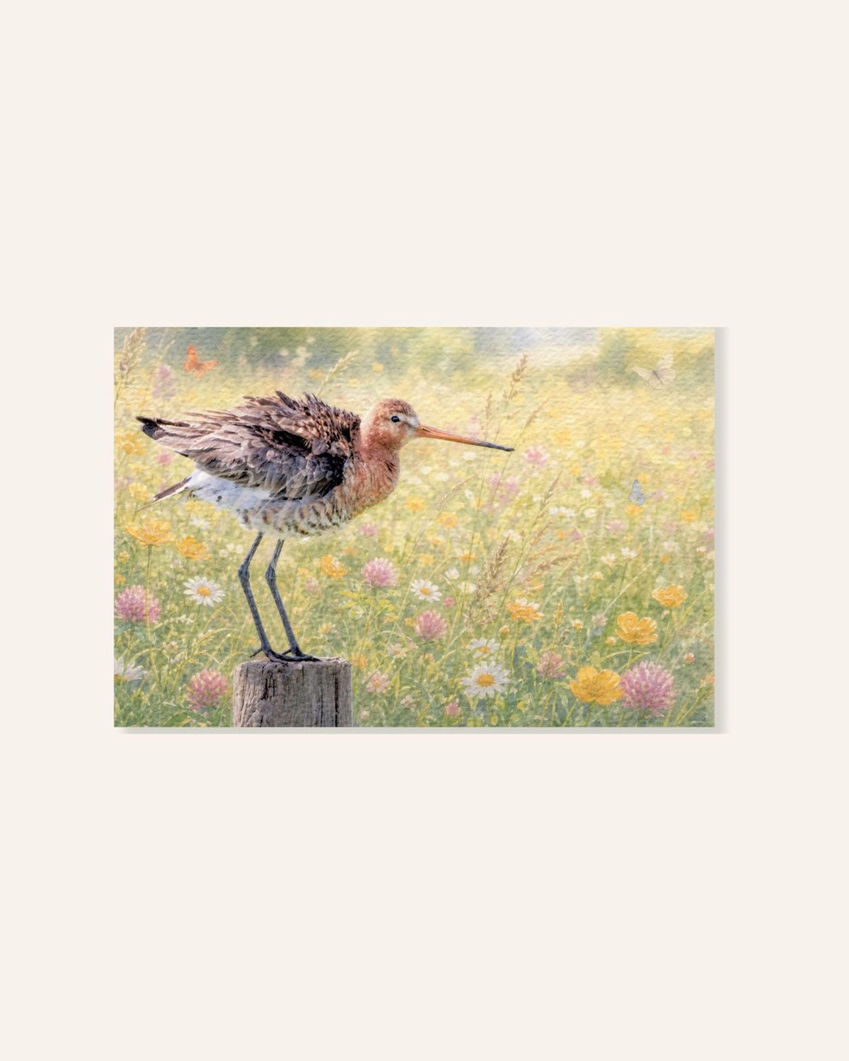 Ansichtkaart met een grutto tussen wilde bloemen en vlinders