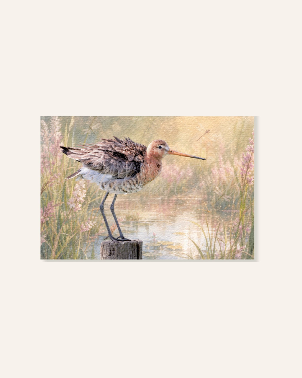 Grutto tussen het riet schilderachtige ansichtkaart