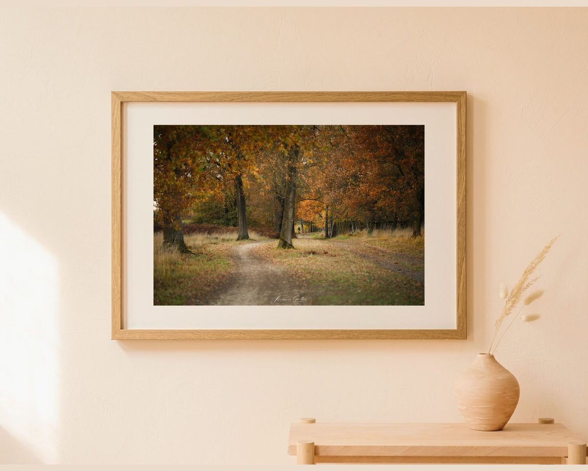 Ingelijste fotoprint van een bospad met herfstkleuren als wanddecoratie