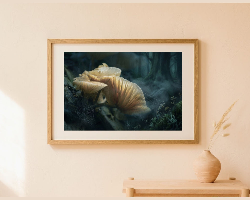 Into the Quiet Forest art print met porseleinzwammen in een donker sprookjesachtig bos, ingelijst aan de muur