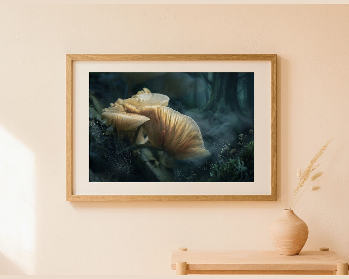 Into the Quiet Forest art print met porseleinzwammen in een donker sprookjesachtig bos, ingelijst aan de muur