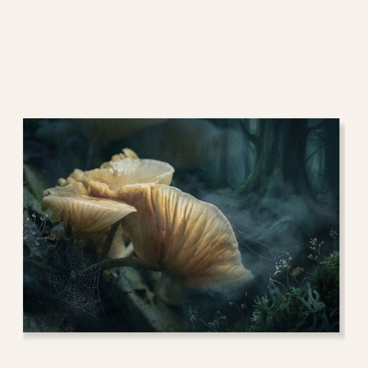 Into the Quiet Forest art print met porseleinzwammen, nevel en spinnenwebben in een donker blauwgroen bos