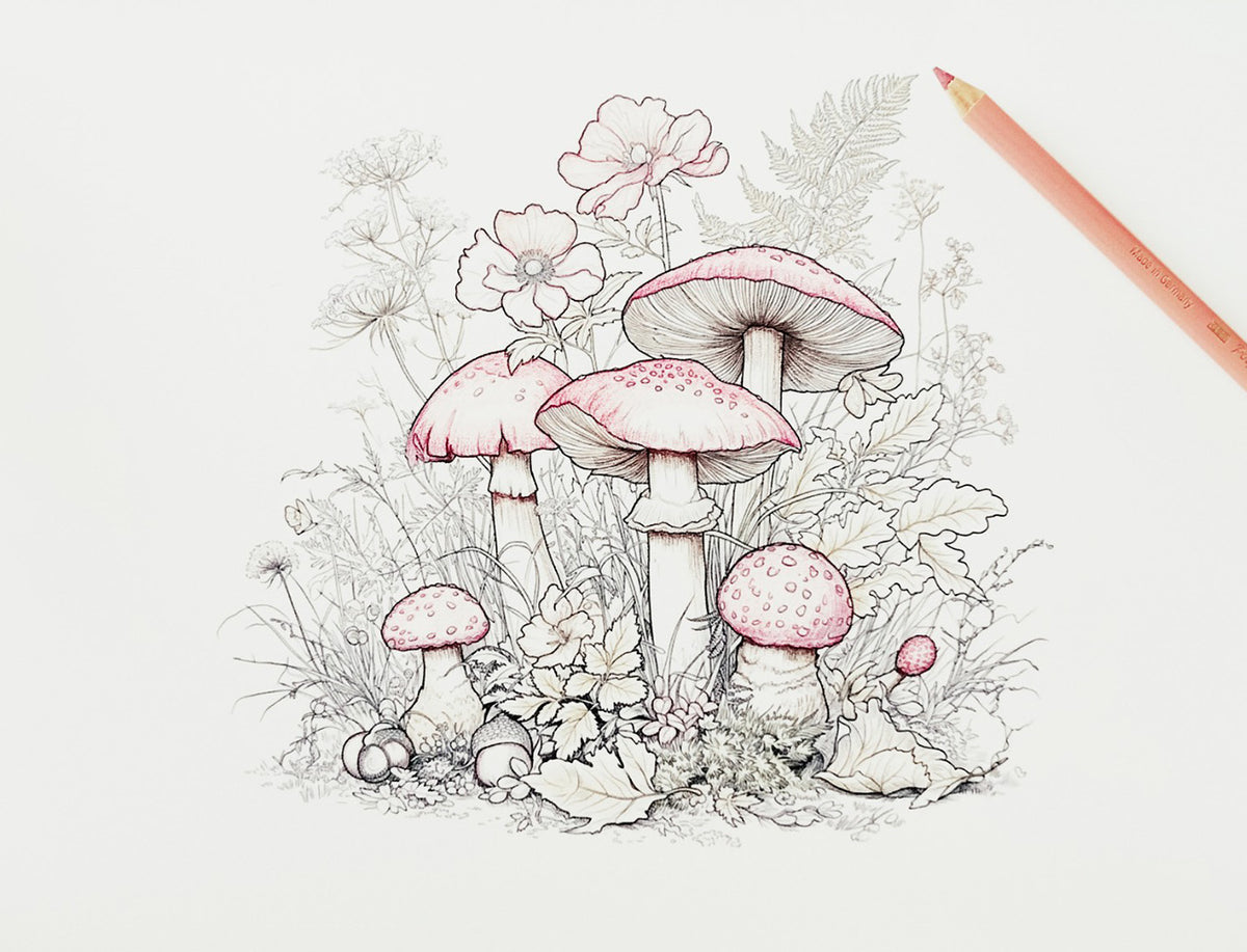 Paddenstoelen kleurpakket met drie printable kleurplaten op A4