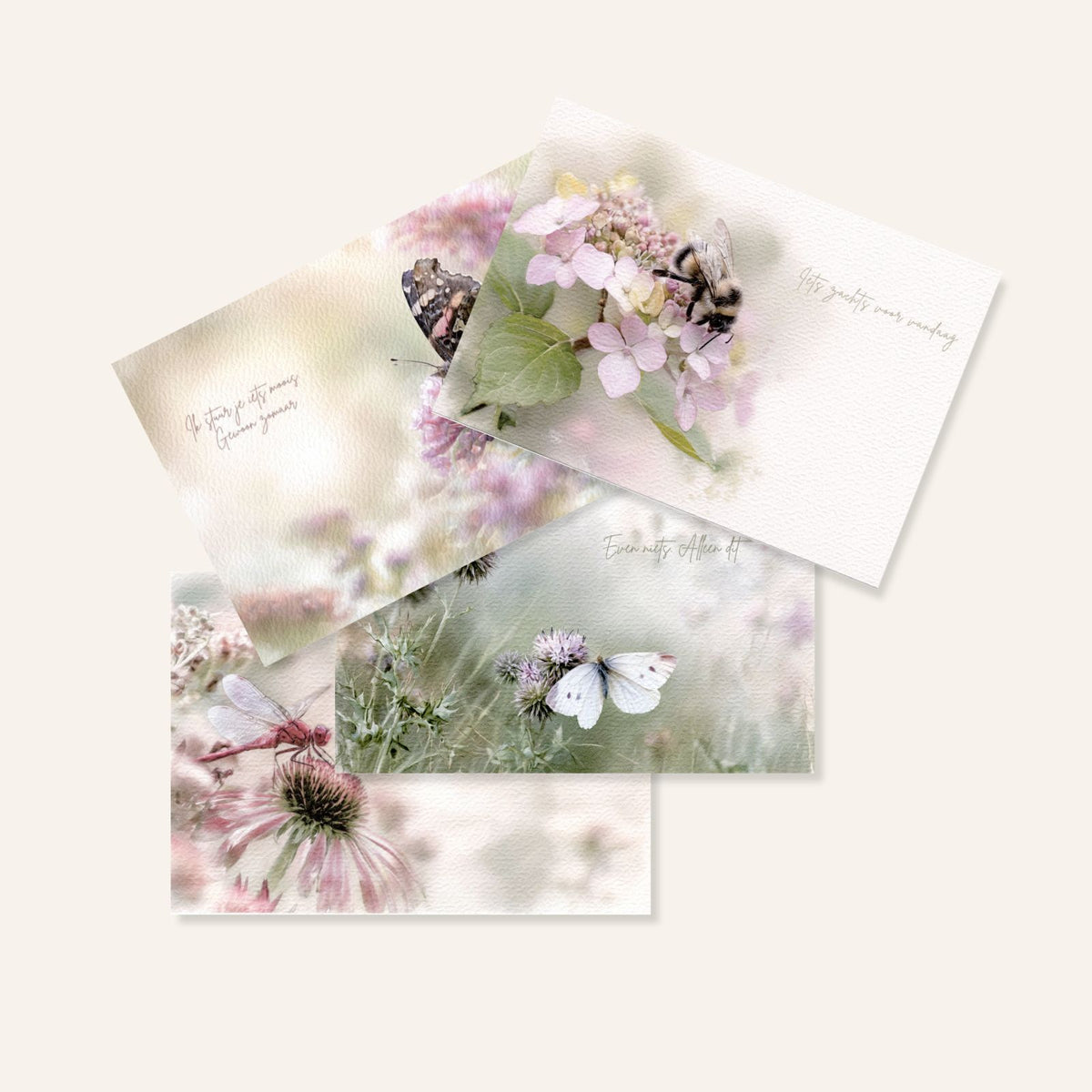 Set van 4 natuur ansichtkaarten met vlinder, libelle en hommel.