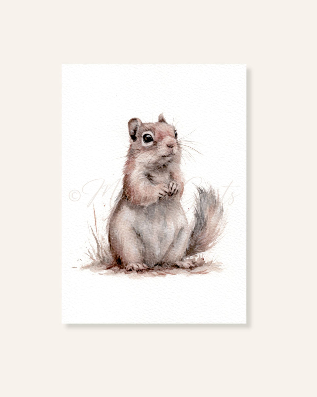 Aquarel ansichtkaart met Siberische grondeekhoorn van voren gezien