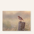 Graspieper ansichtkaart Morning Song met zingende vogel tussen zachte veldbloemen