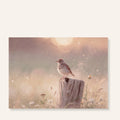 Graspieper ansichtkaart Morning Watch met vogel op houten paal tussen zachte veldbloemen