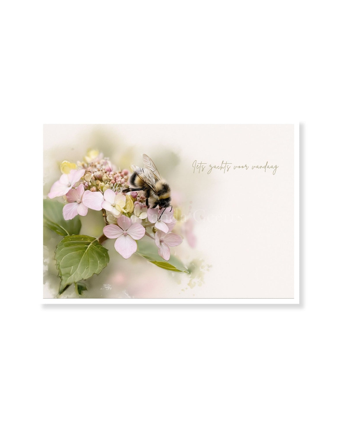 Ansichtkaart met hommel op roze hortensia en tekst Iets zachts voor vandaag