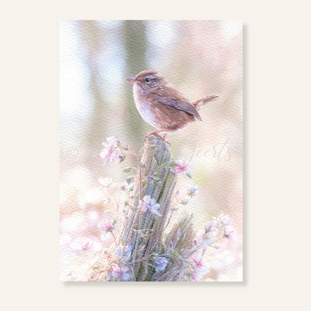 Ansichtkaart met winterkoninkje tussen zachte roze bloemen in aquarelstijl