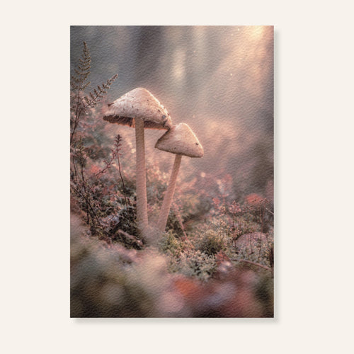 Ansichtkaart met twee paddenstoelen tussen mos en herfstplanten in zacht roze herfstlicht.