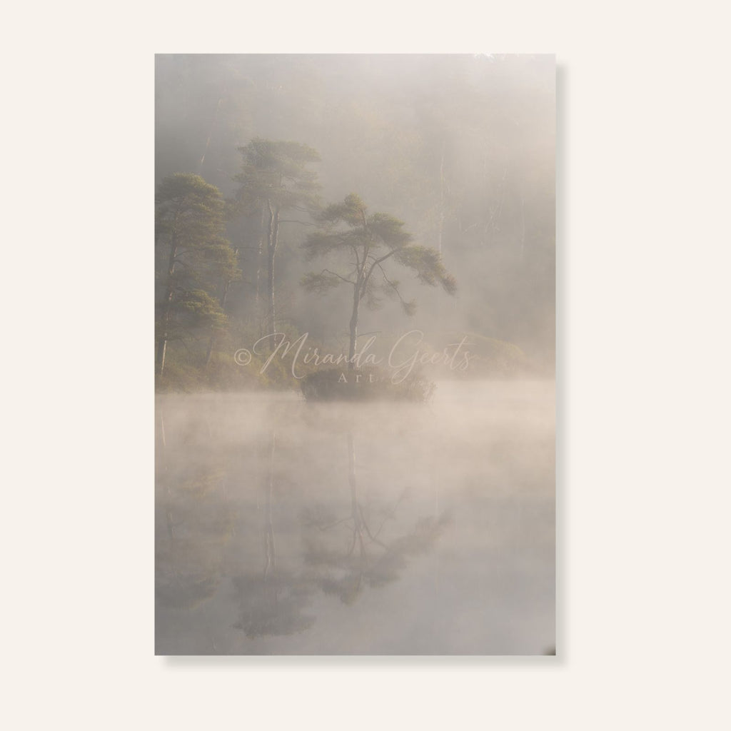 Stilte in de mist | Fotoprint