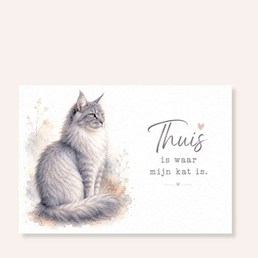 Maine Coon ansichtkaart met grijze kat en tekst Thuis is waar mijn kat is
